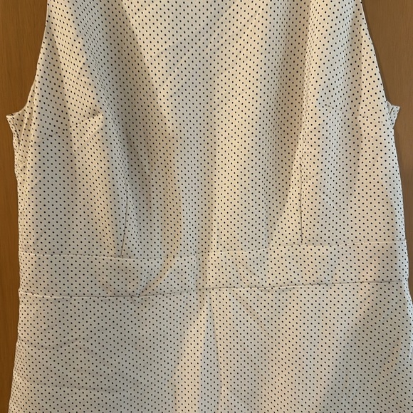 Banana Republic Factory Polka Dot Ruffle Sleeveless Dress Size 10P Petite - Picture 4 of 10